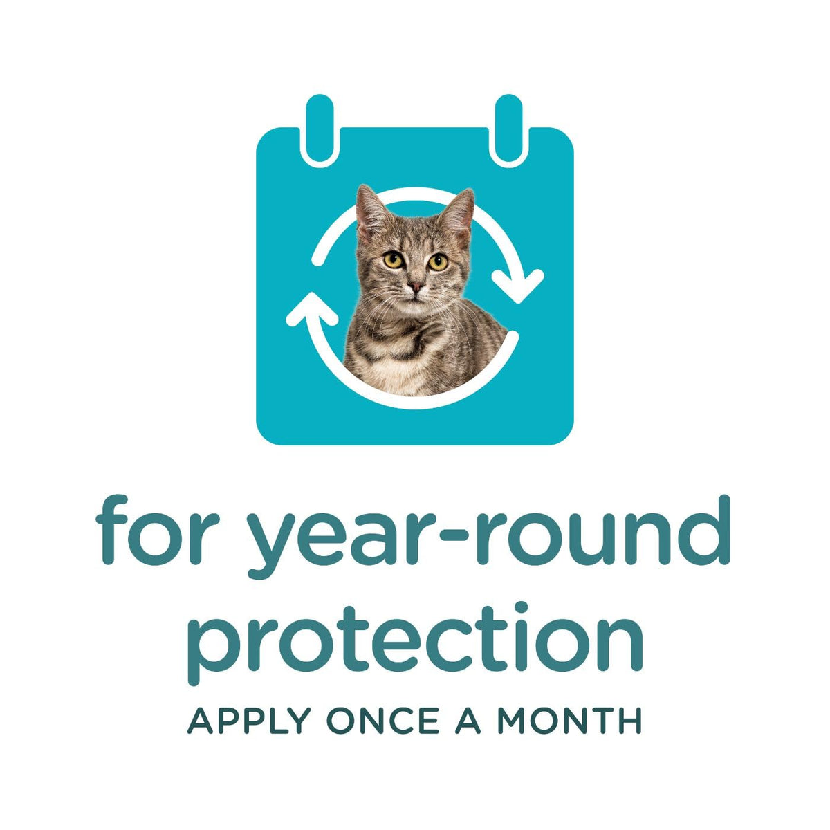 Flea & Tick Topical Cats 3-Month A2243