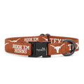 Large Collar and Leash Y568