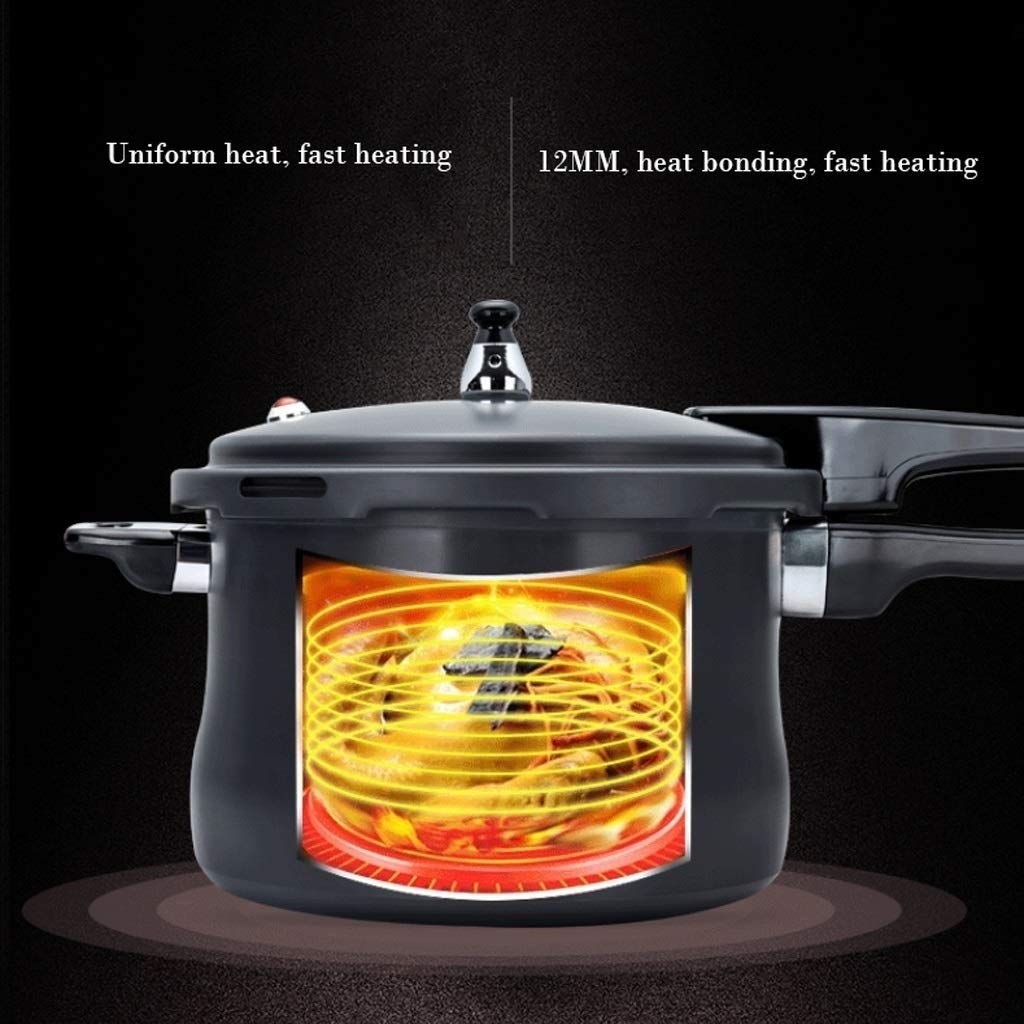 Black 3L Stainless Steel Pressure Cooker P633