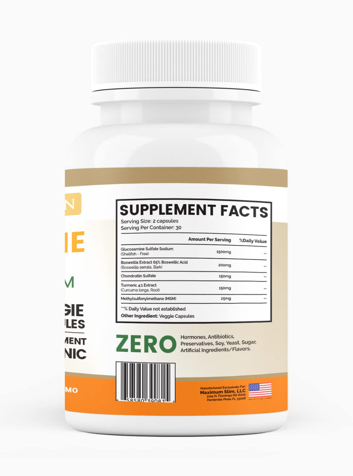 Glucosamine Chondroitin Turmeric MSM 60 Veggie Capsules L860