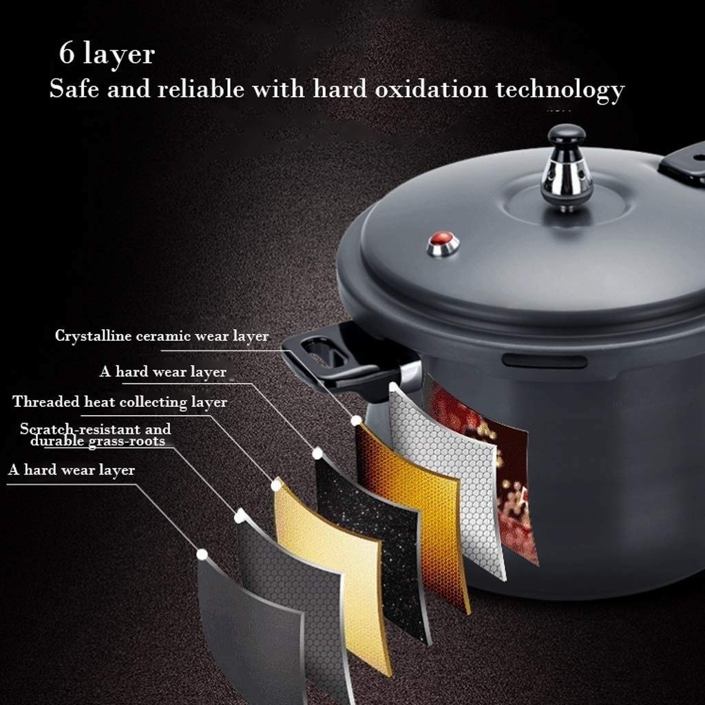 Black 3L Stainless Steel Pressure Cooker P633