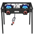 2 Burner Portable Propane Gas Grill N3886