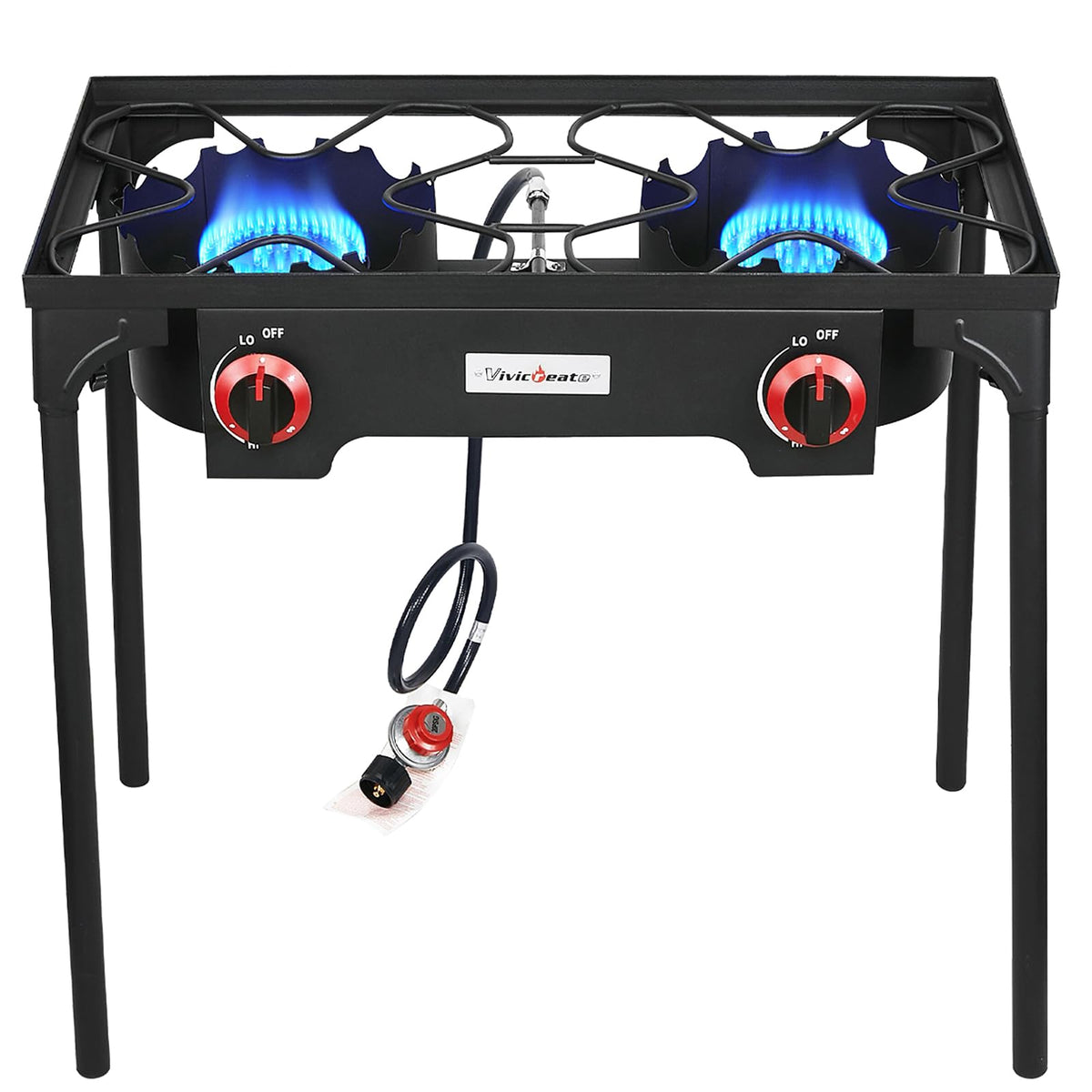 2 Burner Portable Propane Gas Grill N3886