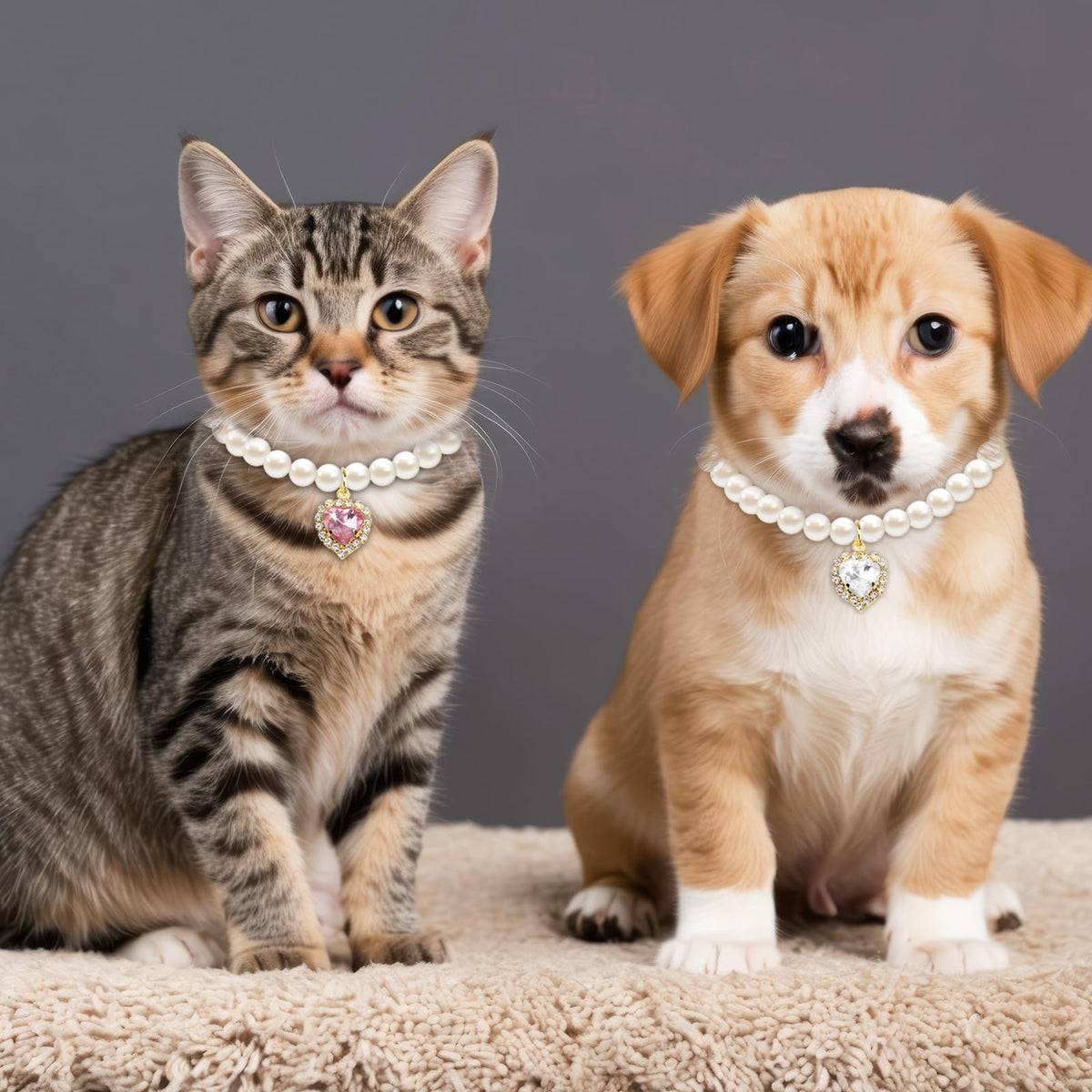 Pink White Pearl Cat Dog Collar V7745