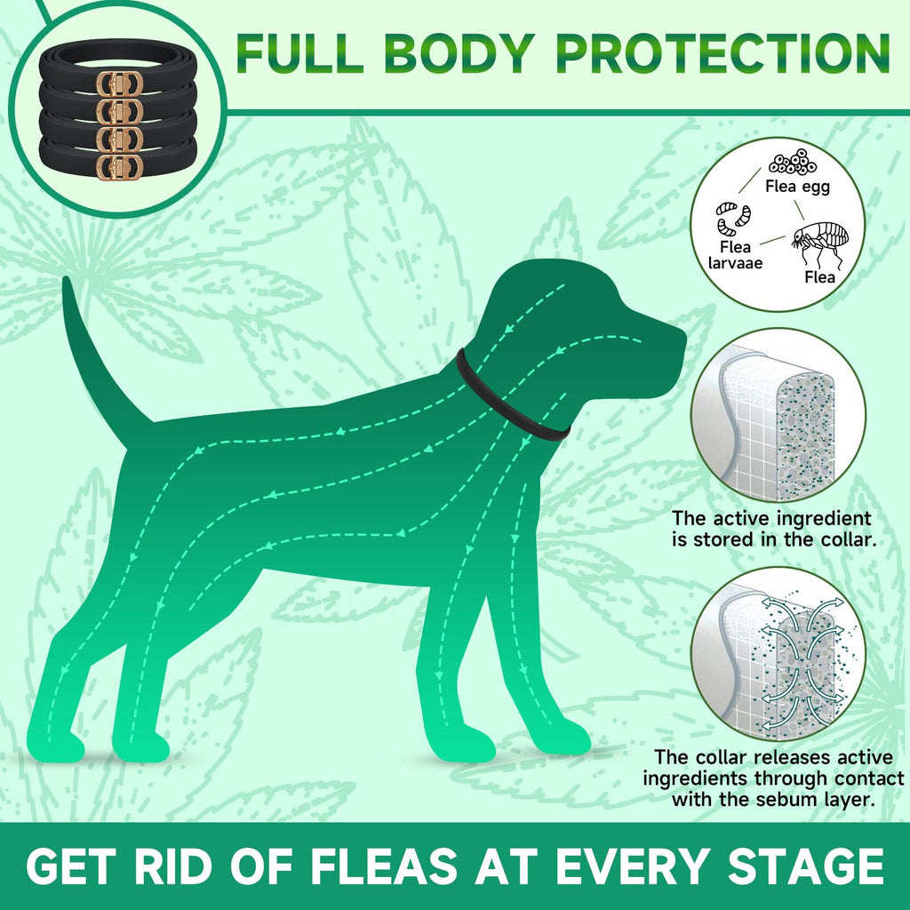 4 Pack Flea Collar for Dogs R954