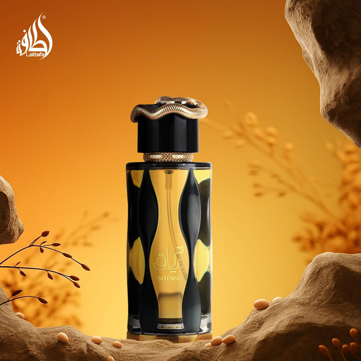 Eau de Parfum Spray 3.4 Ounce / 100 ml O1276