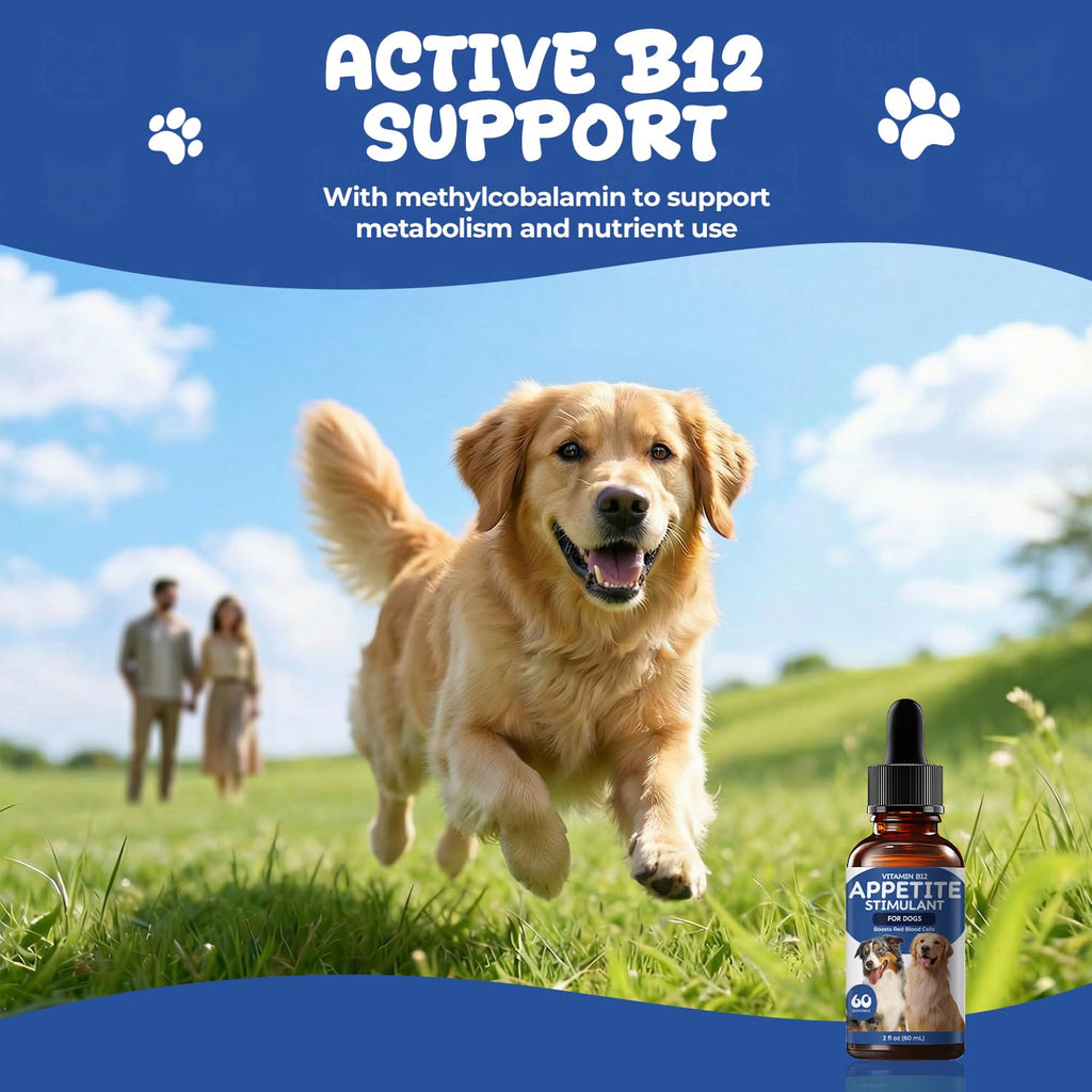 Vitamin B12 Liquid Drops with Methylcobalamin F603