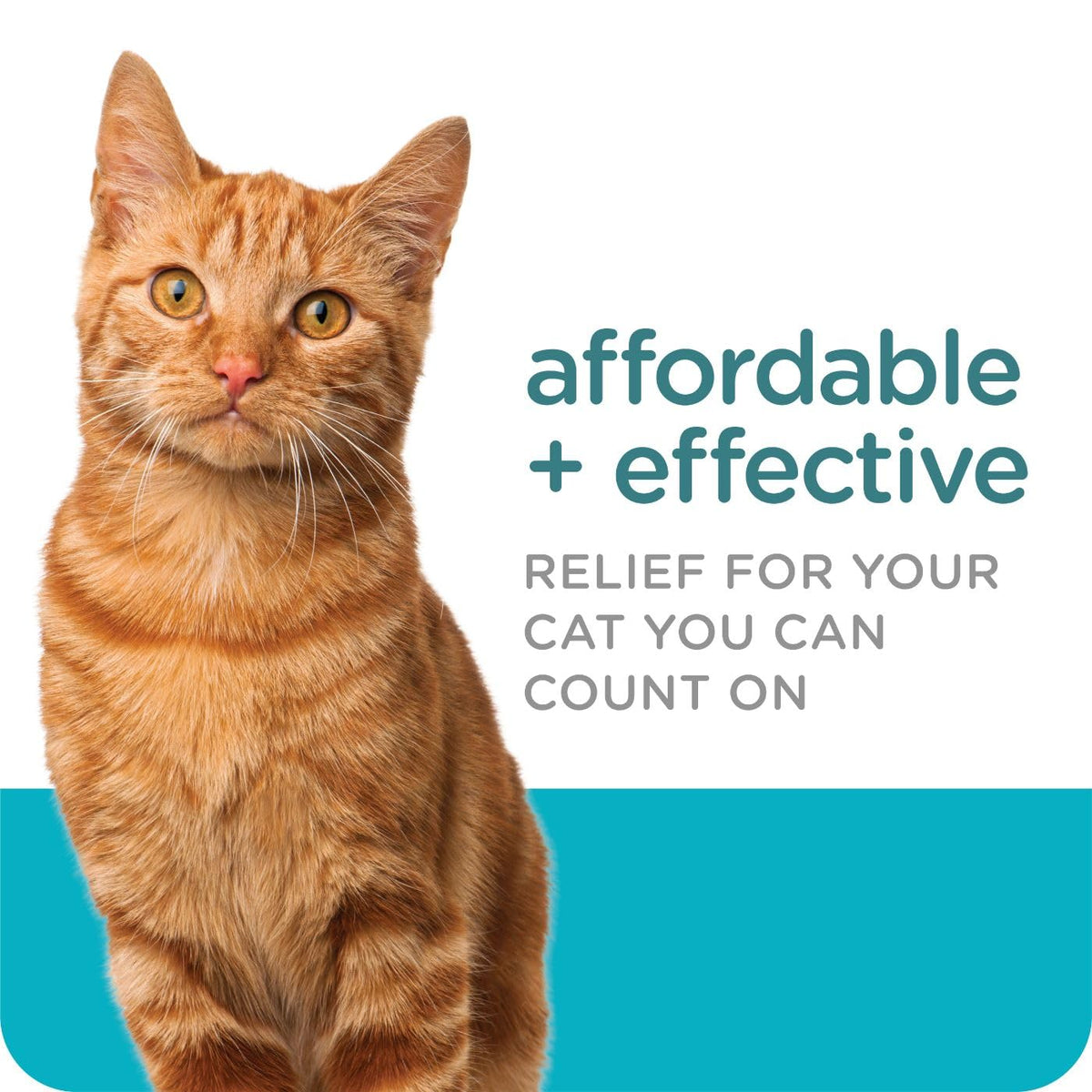 Flea & Tick Topical Cats 3-Month A2243