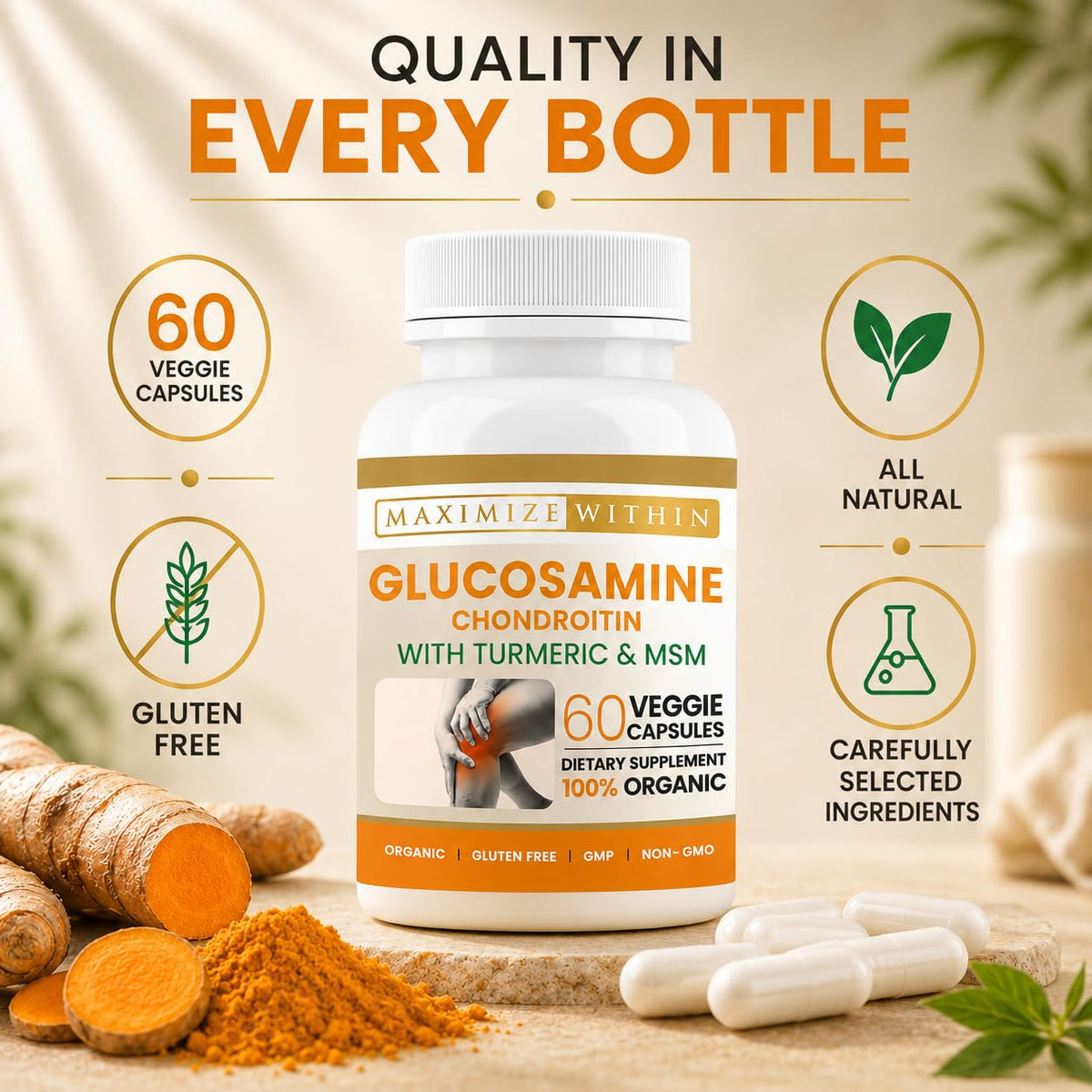 Glucosamine Chondroitin Turmeric MSM 60 Veggie Capsules L860