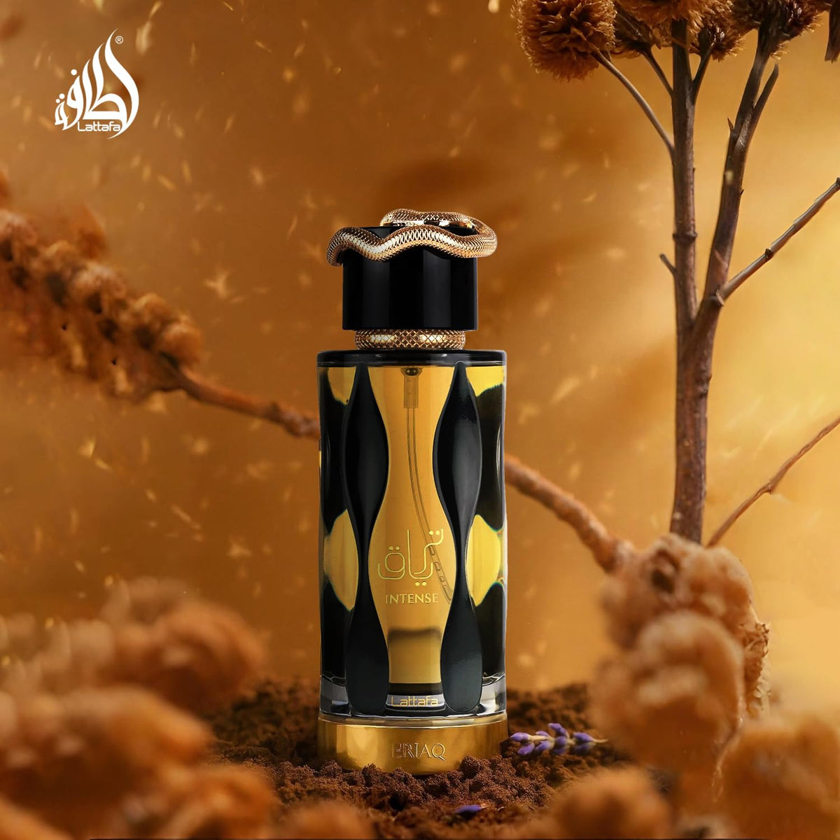 Eau de Parfum Spray 3.4 Ounce / 100 ml O1276