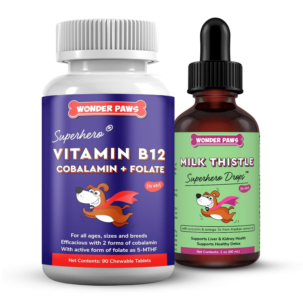 Vitamin B12 Chewable Tablets Plus Milk Thistle Drops 90 Chews 2 Ounces S20022