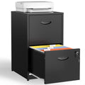2 Drawer Metal File Cabinet with Lock N901