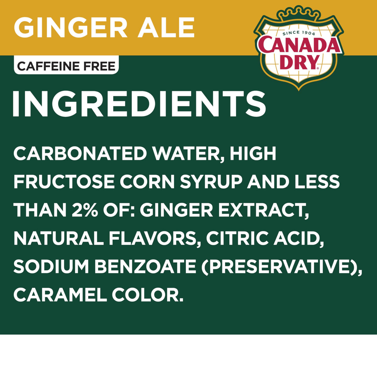 Ginger Ale Soda 12 fl oz 12 pack I25707