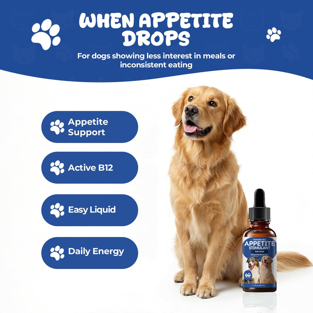 Vitamin B12 Liquid Drops with Methylcobalamin F603