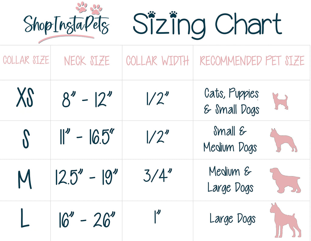 Large Collar and Leash Y568