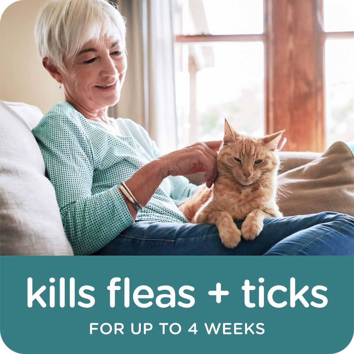 Flea & Tick Topical Cats 3-Month A2243