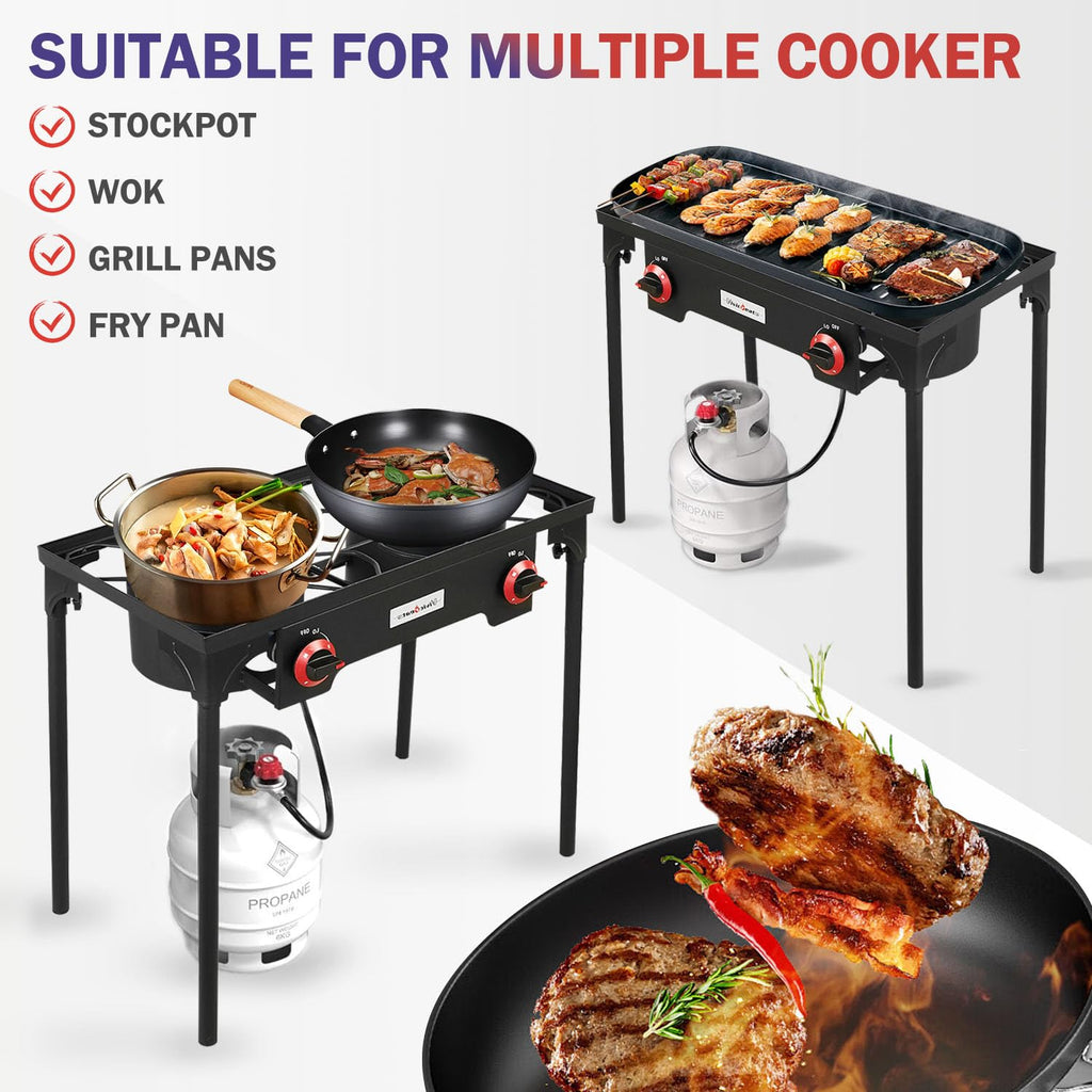 2 Burner Portable Propane Gas Grill N3886