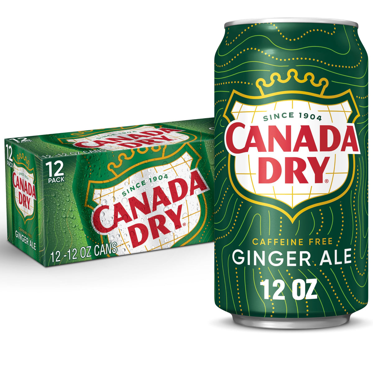 Ginger Ale Soda 12 fl oz 12 pack I25707