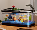 5.3 Gallon Fish Tank Starter Kit X585