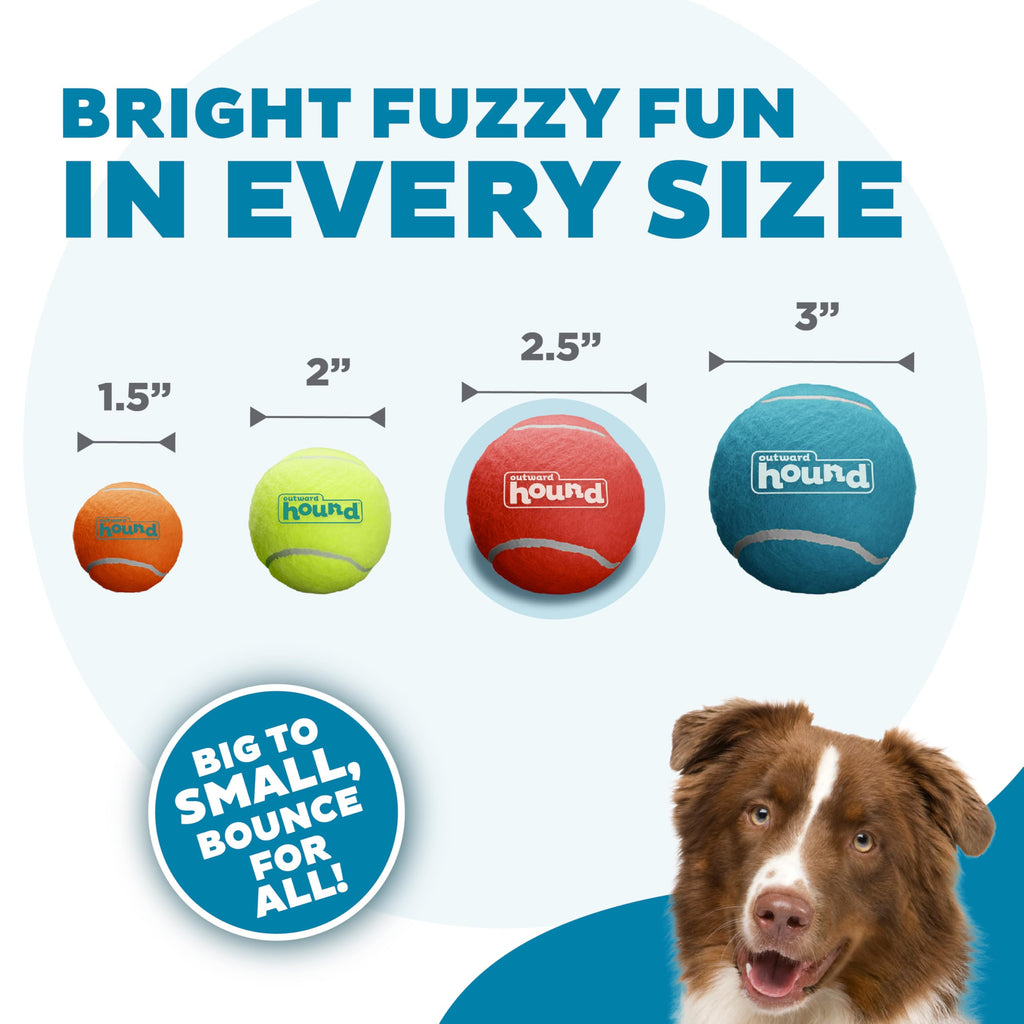 Squeaker Ballz Tennis Ball Dog Toy 4-Pack E44040