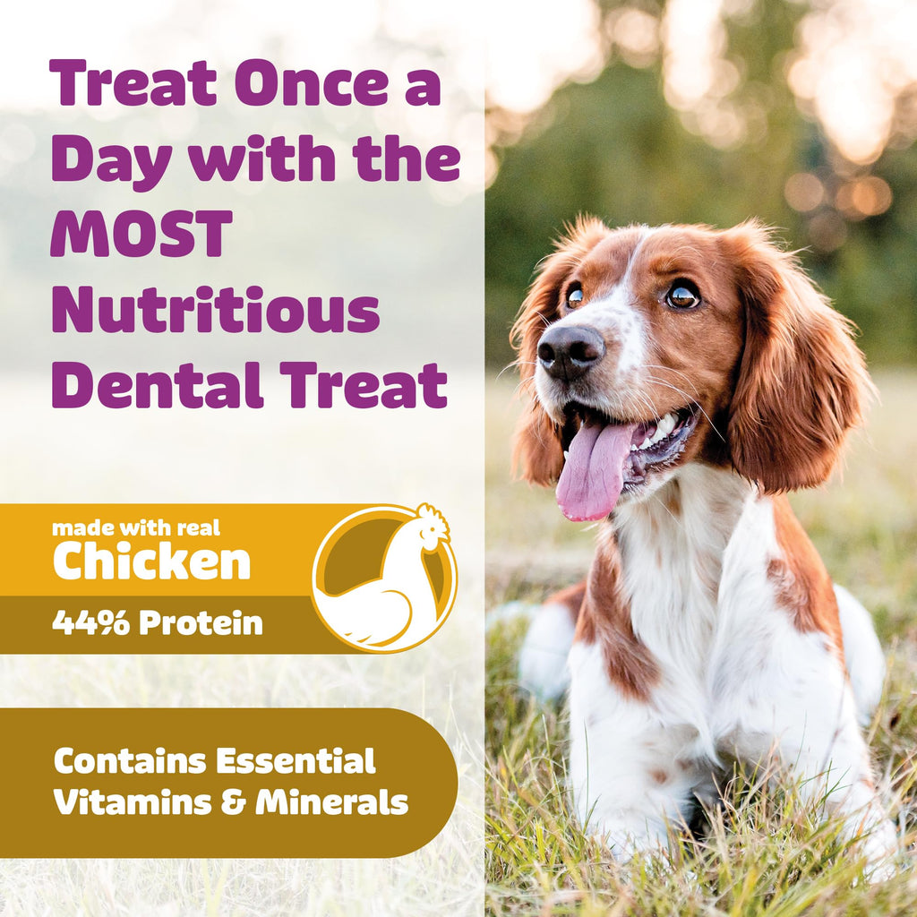 Chicken Dog Dental Treats 24oz & 36 oz D785