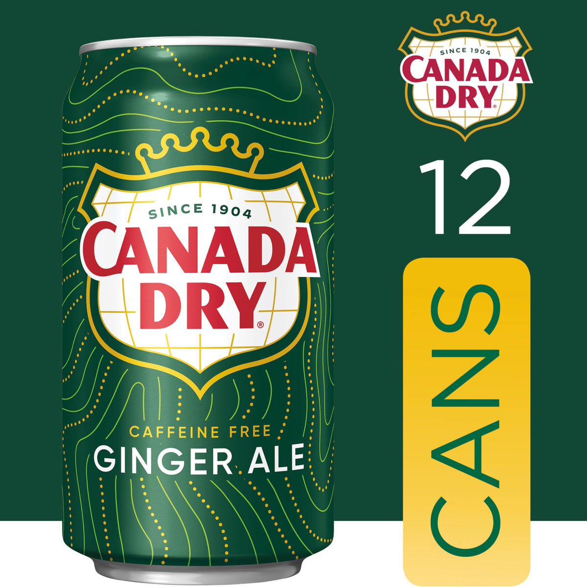 Ginger Ale Soda 12 fl oz 12 pack I25707