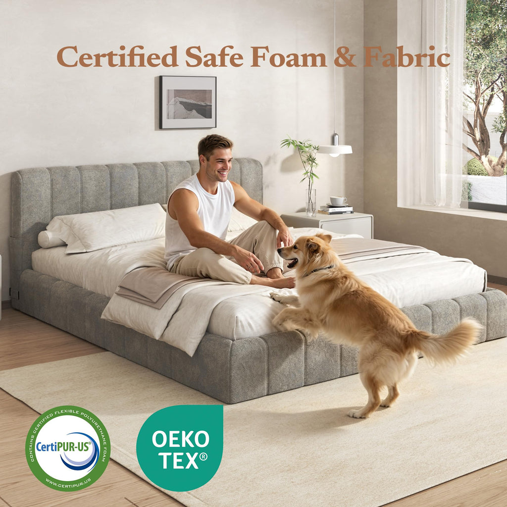 Queen Cloud Bed Frame Y867