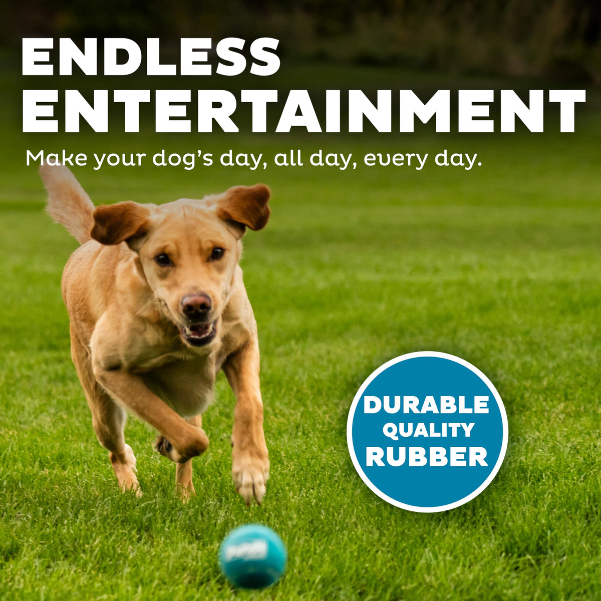Squeaker Ballz Tennis Ball Dog Toy 4-Pack E44040