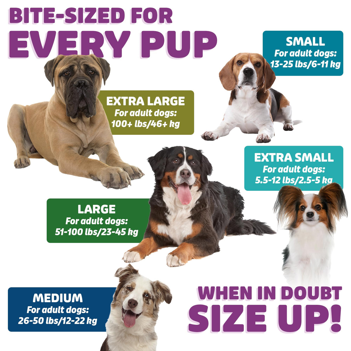 Chicken Dog Dental Treats 24oz & 36 oz D785