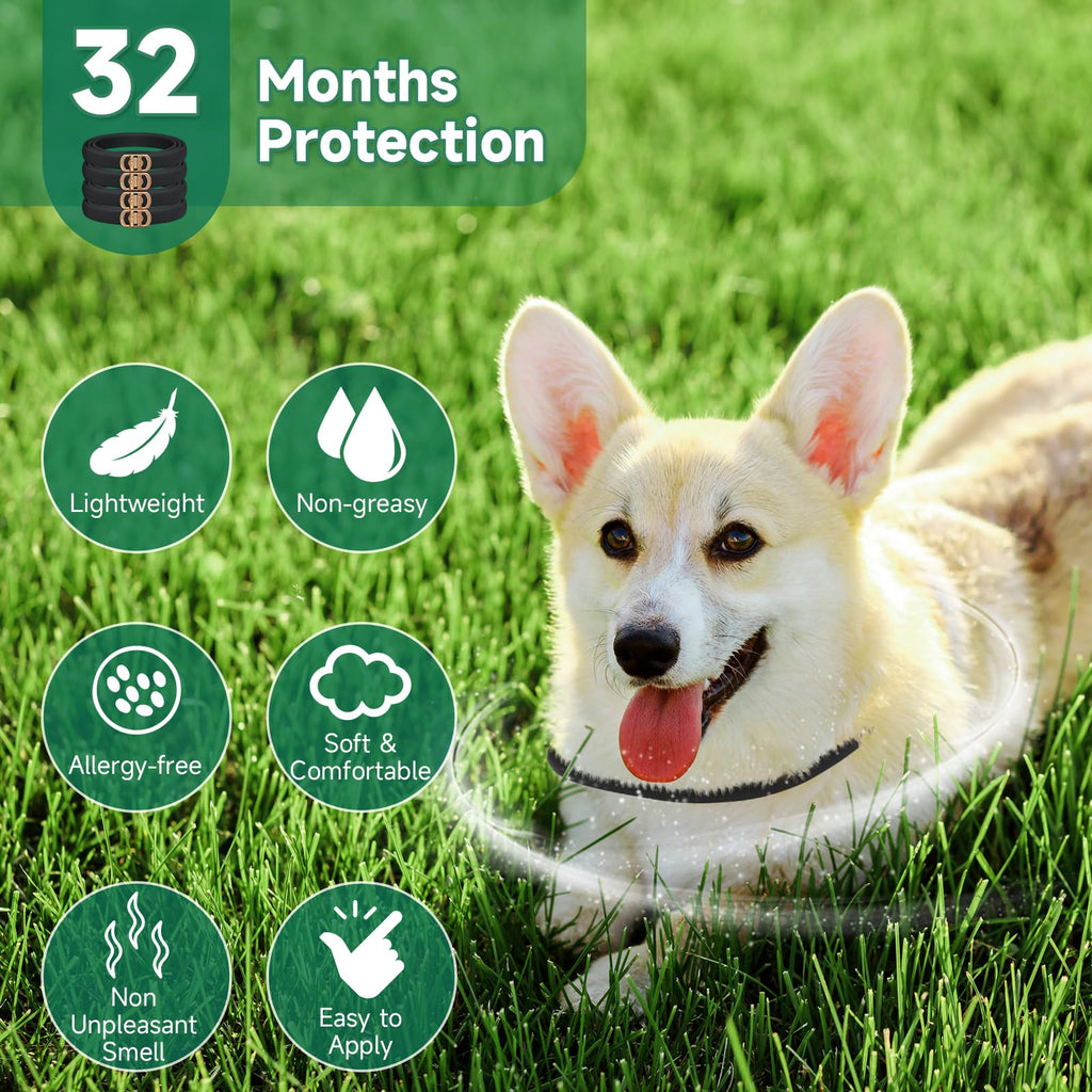 4 Pack Flea Collar for Dogs R954