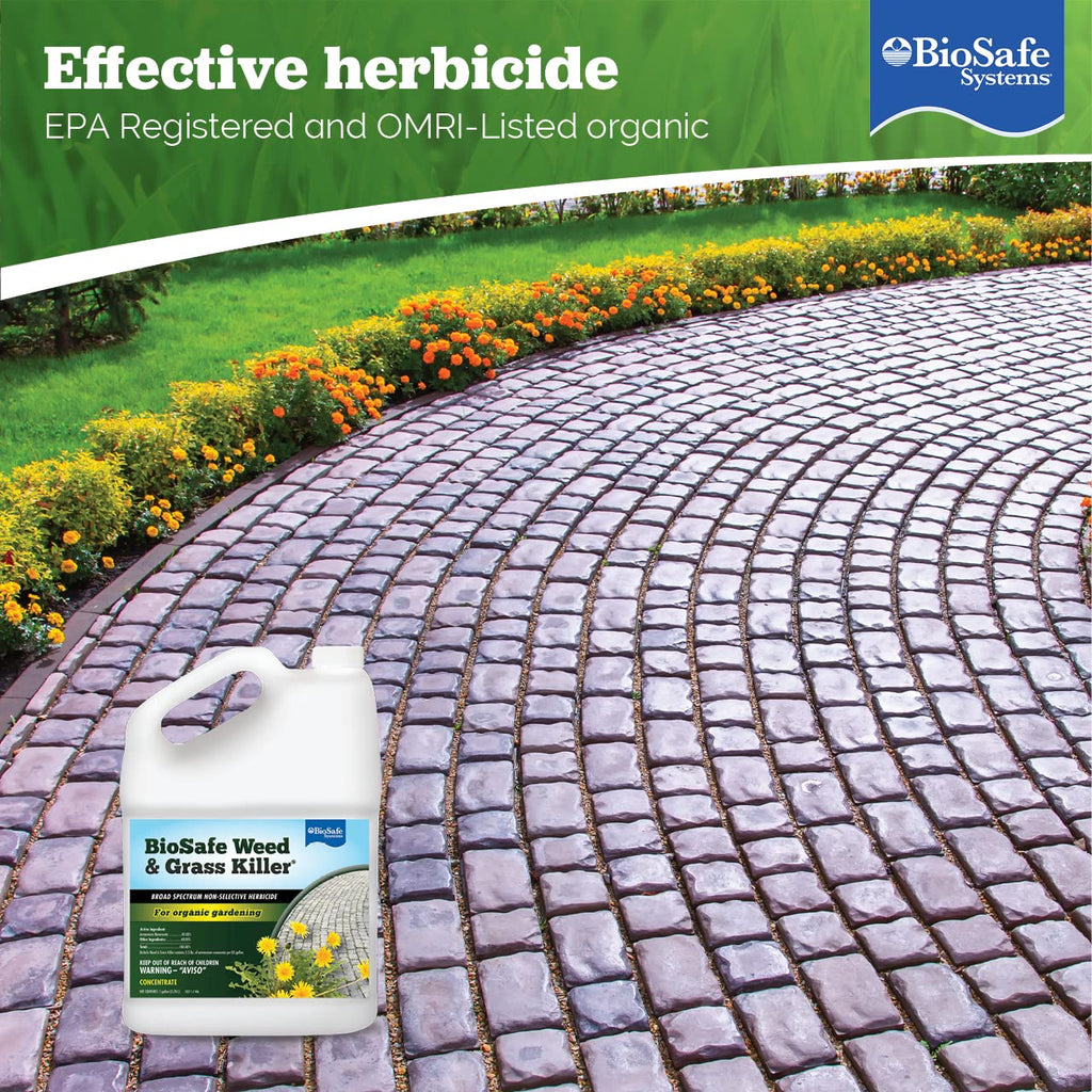 1 Gallon Water Soluble Weed & Grass Killer Concentrate R4831