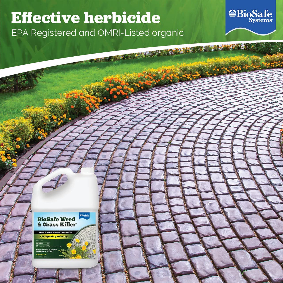 1 Gallon Water Soluble Weed & Grass Killer Concentrate R4831