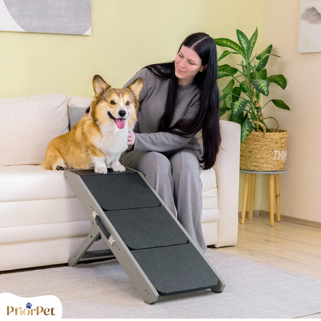 Foldable Non-Slip Dog Ramp Z8759