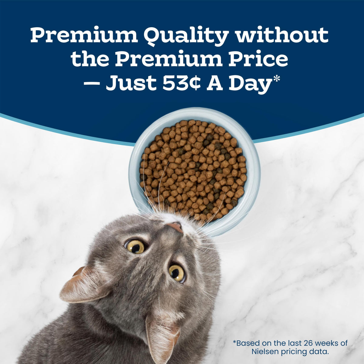 Chicken Sensitive Stomach Dry Cat Food, 3 lb N1690