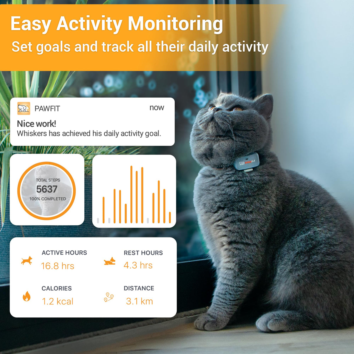 4G GPS Cat Tracker Ultra-Light P50349