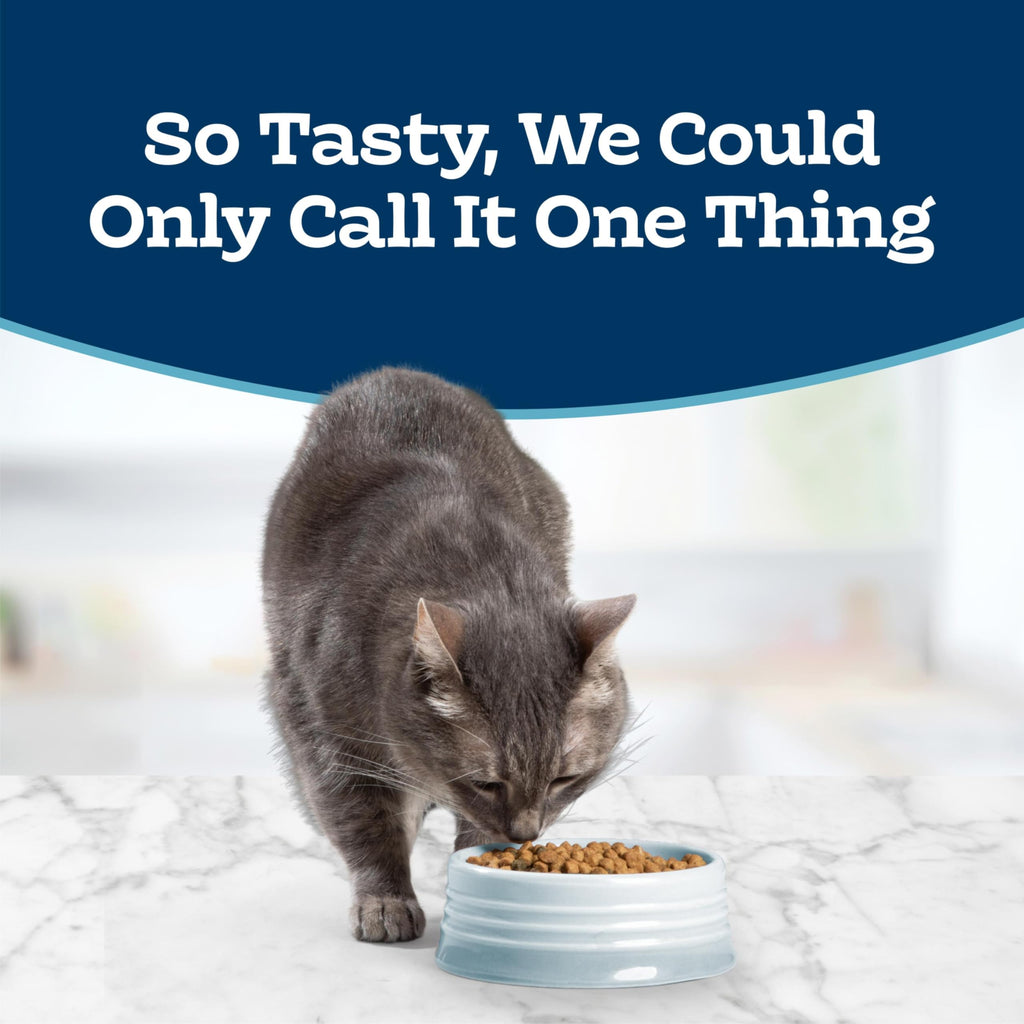 Chicken Sensitive Stomach Dry Cat Food, 3 lb N1690