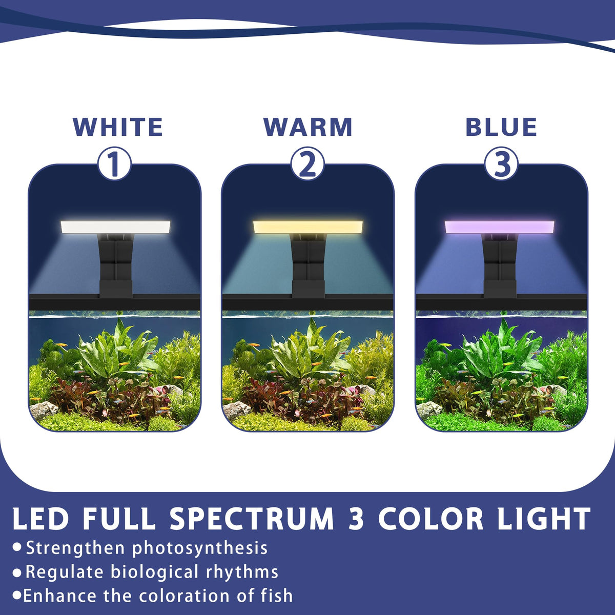5.3 Gallon Fish Tank Starter Kit X585