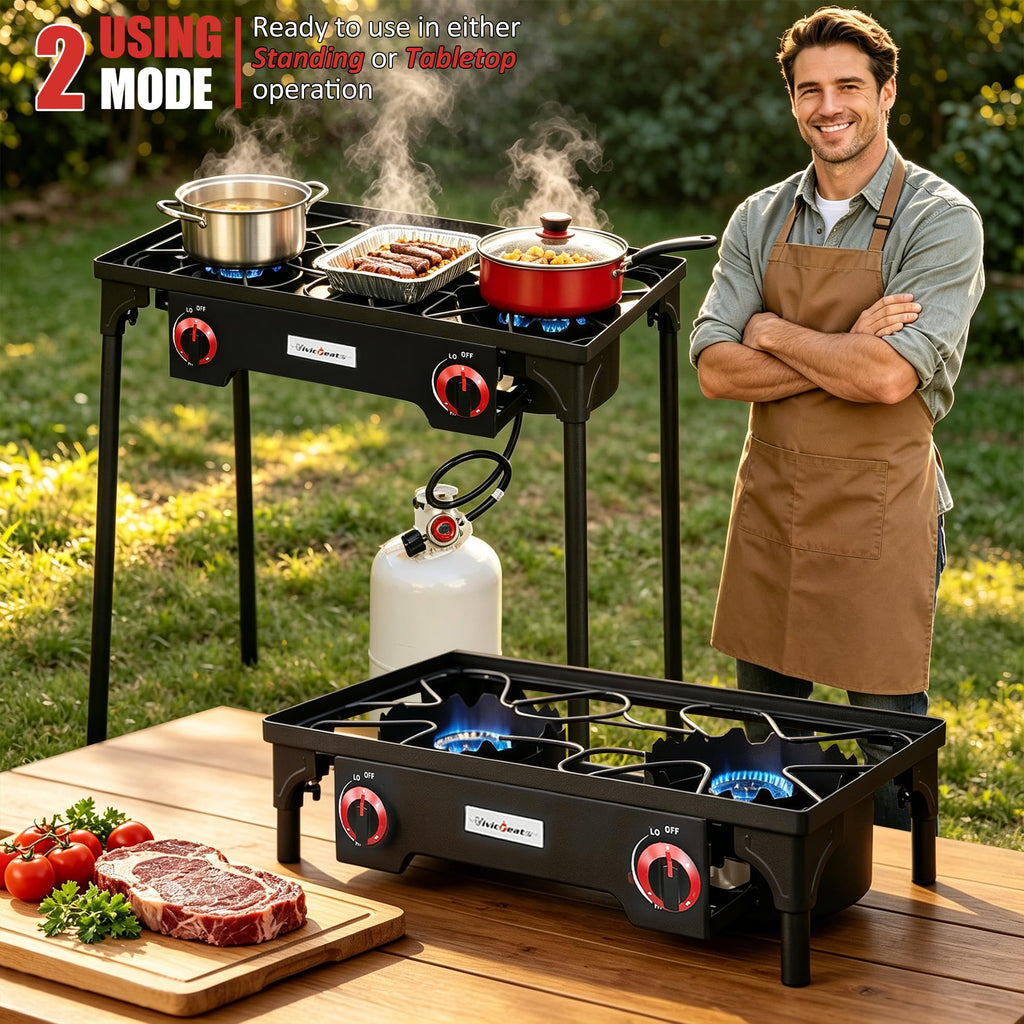 2 Burner Portable Propane Gas Grill N3886