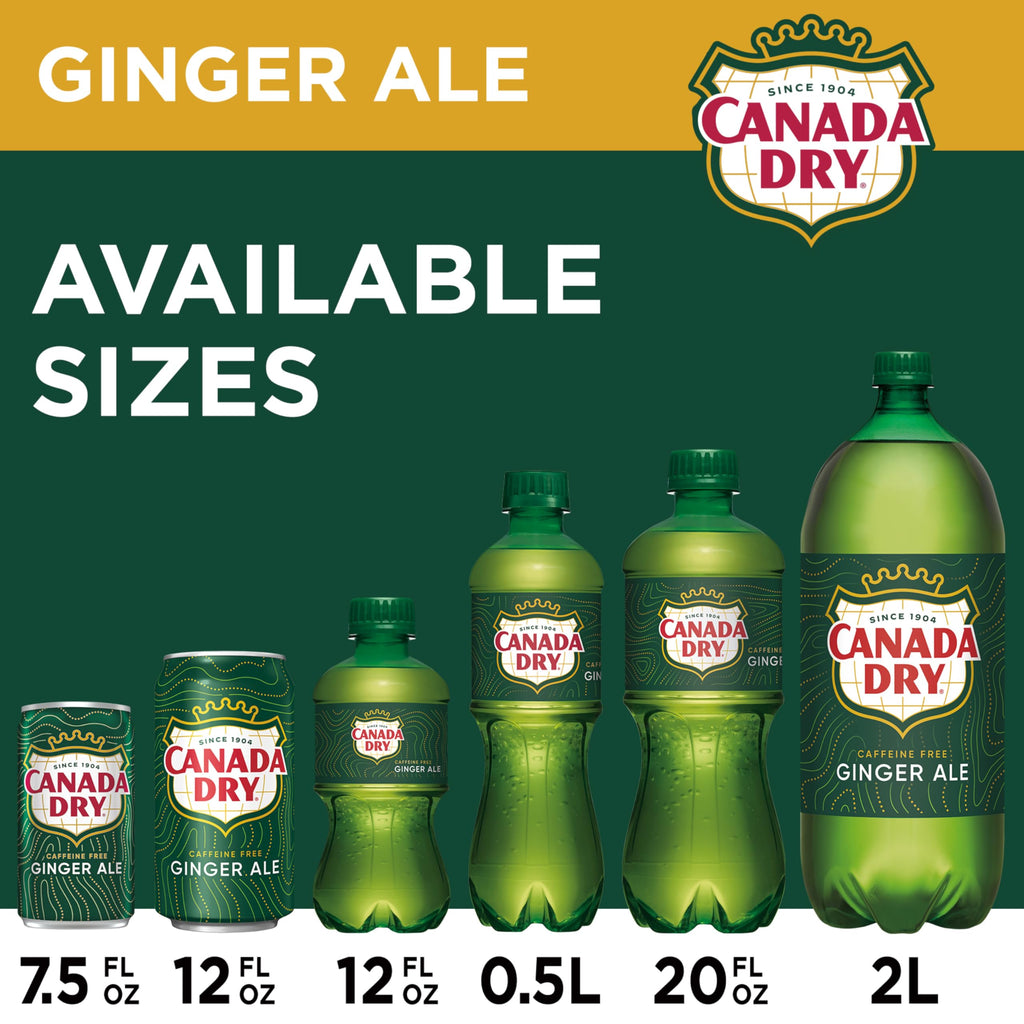 Ginger Ale Soda 12 fl oz 12 pack I25707