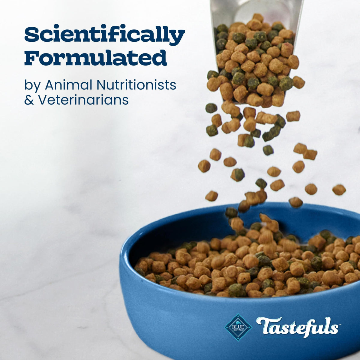 Chicken Sensitive Stomach Dry Cat Food, 3 lb N1690