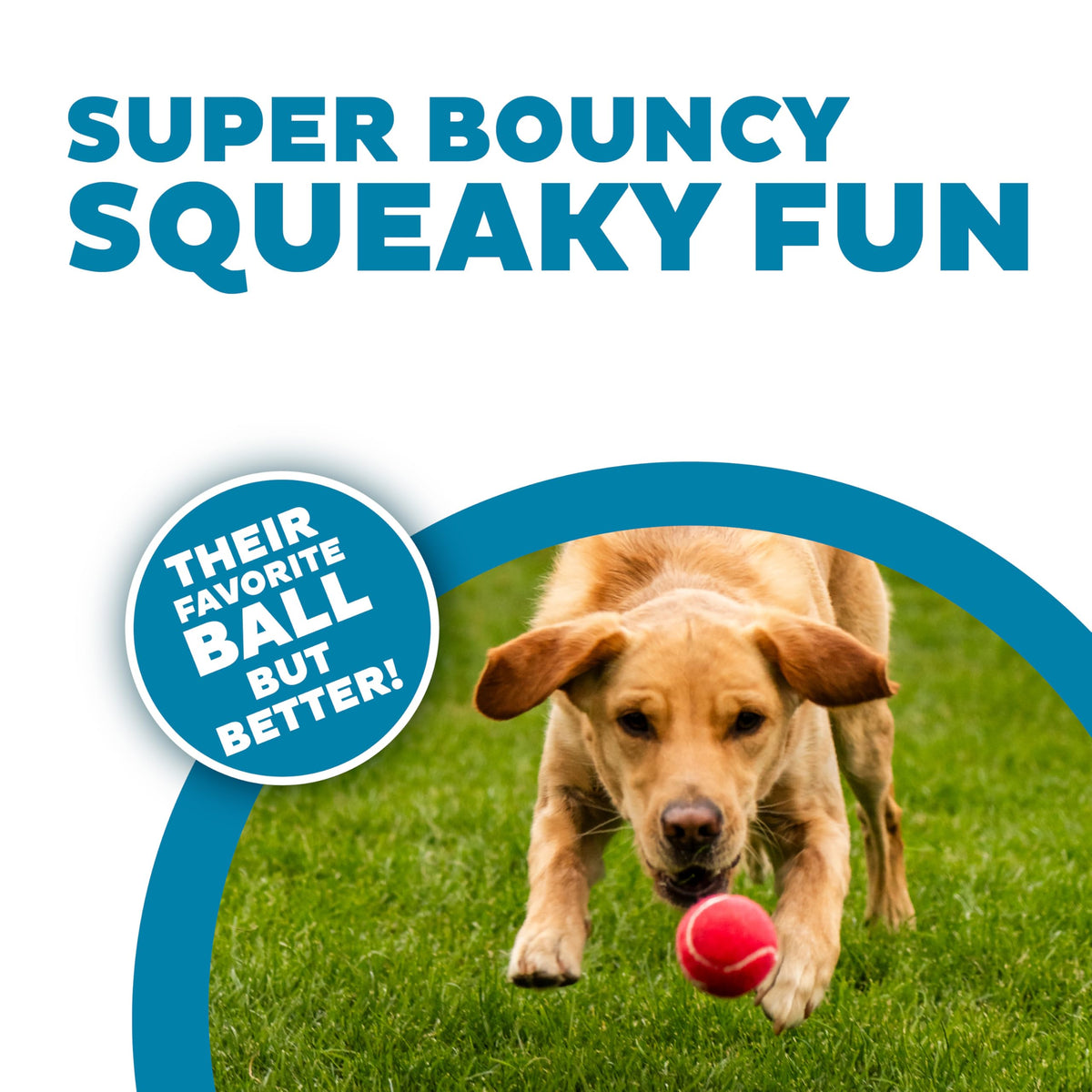 Squeaker Ballz Tennis Ball Dog Toy 4-Pack E44040
