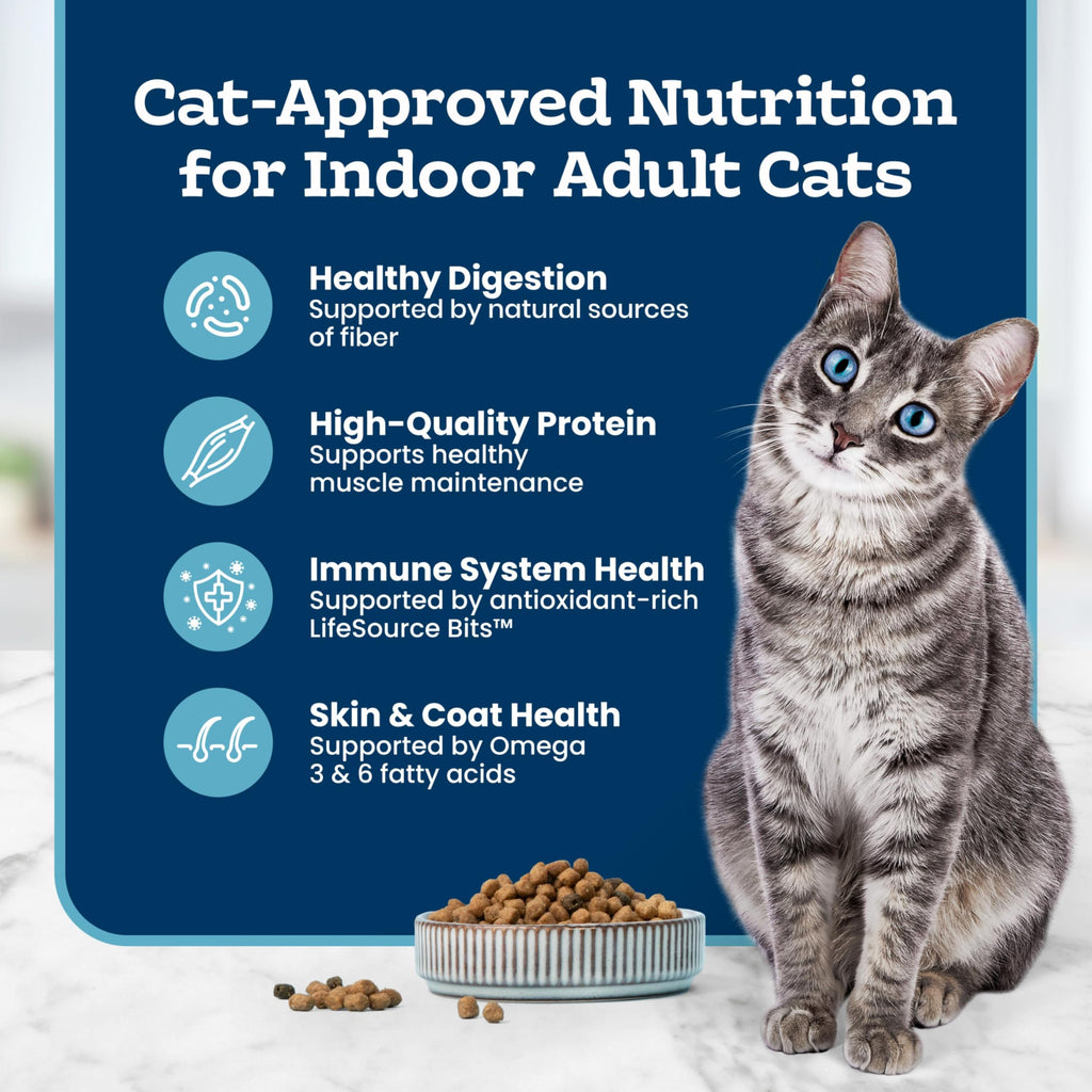 Chicken Sensitive Stomach Dry Cat Food, 3 lb N1690