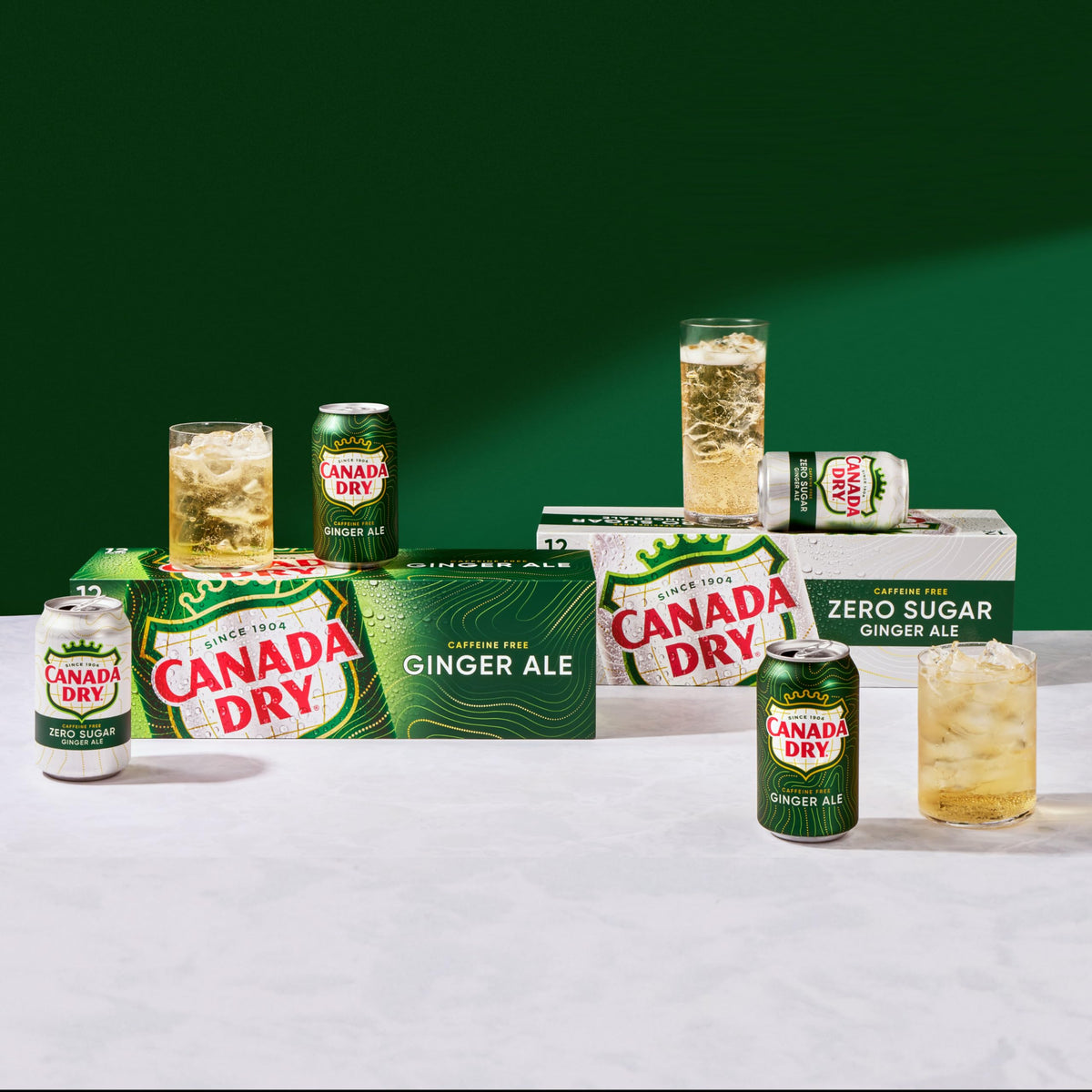 Ginger Ale Soda 12 fl oz 12 pack I25707