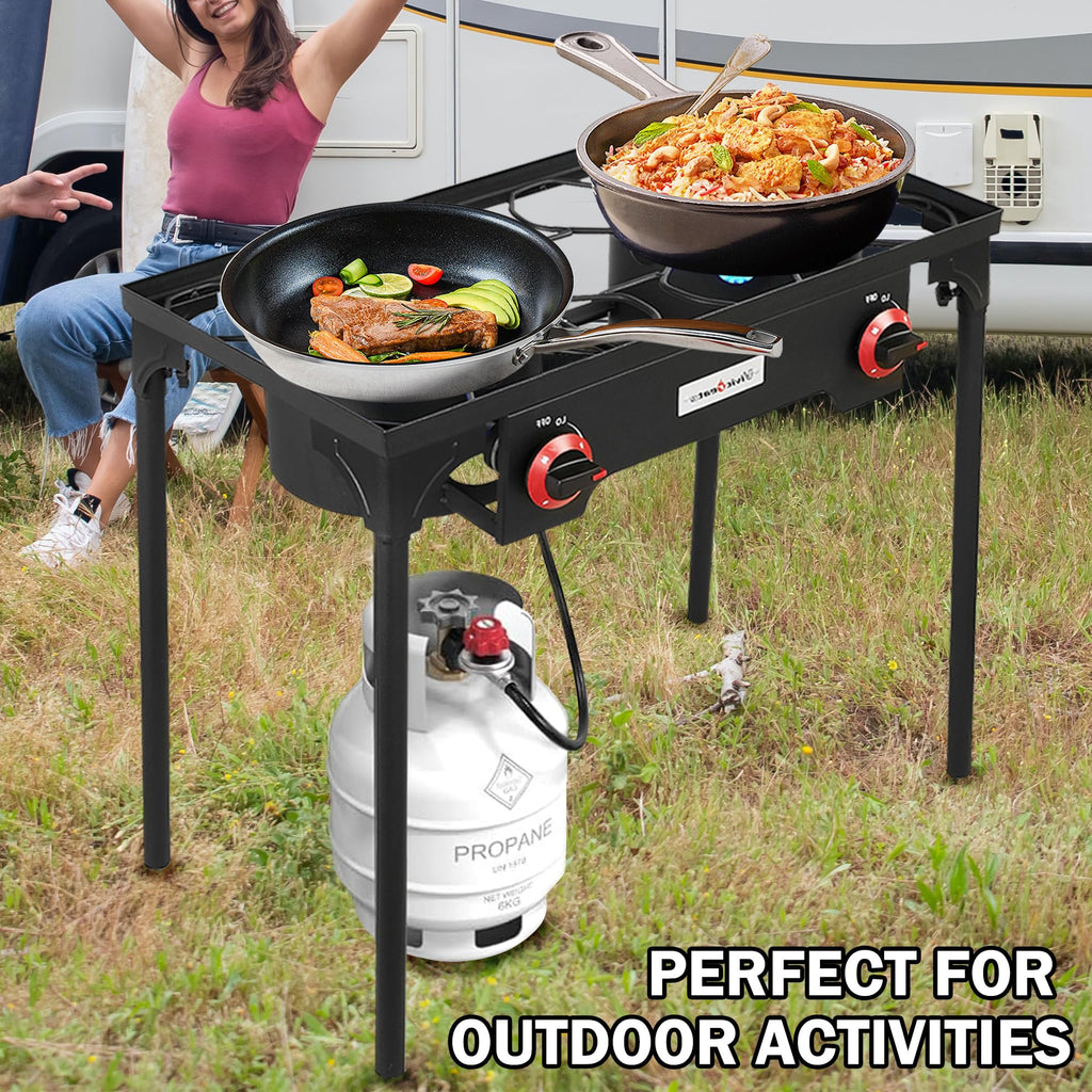 2 Burner Portable Propane Gas Grill N3886
