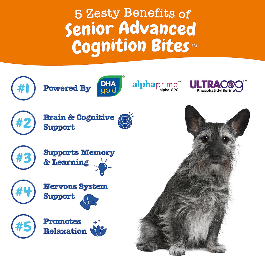 Senior Dog Supplement Cognition Chews Chicken 90 Ct B50492