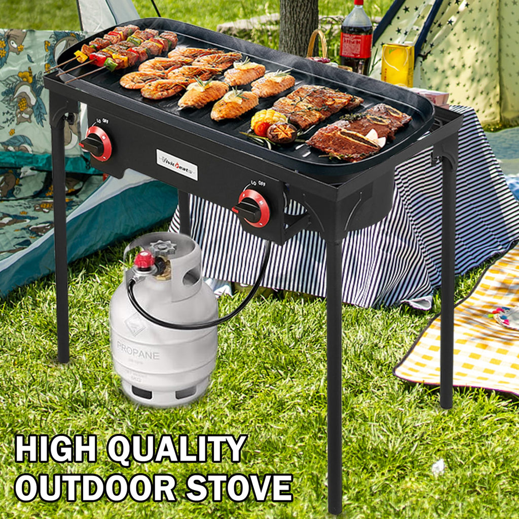 2 Burner Portable Propane Gas Grill N3886